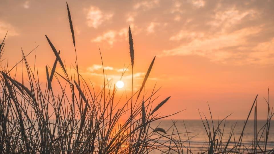 Duinendaele 232 Met Sauna Bij Plopsaland En Natuurreservaat دي بان المظهر الخارجي الصورة